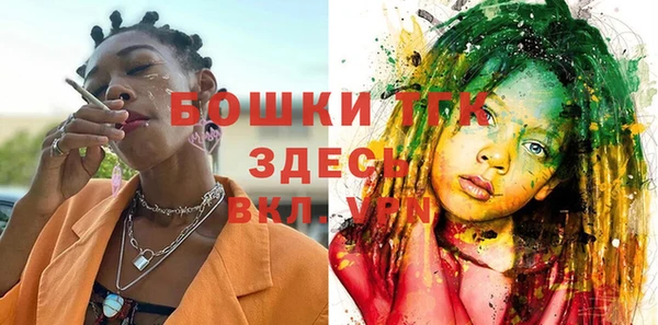 ГАЛЛЮЦИНОГЕННЫЕ ГРИБЫ Алзамай