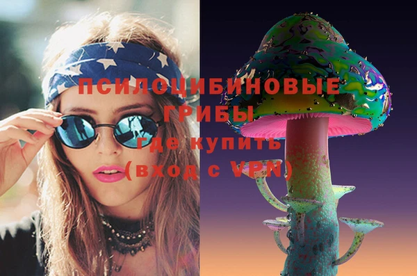 ГАЛЛЮЦИНОГЕННЫЕ ГРИБЫ Алзамай