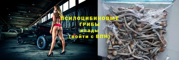 дживик Алексеевка
