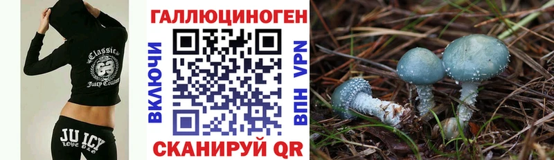 Псилоцибиновые грибы Cubensis  Усть-Лабинск 