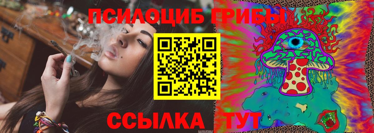 Усть-Лабинск  Псилоцибиновые грибы Psilocybe  Вход с VPN 