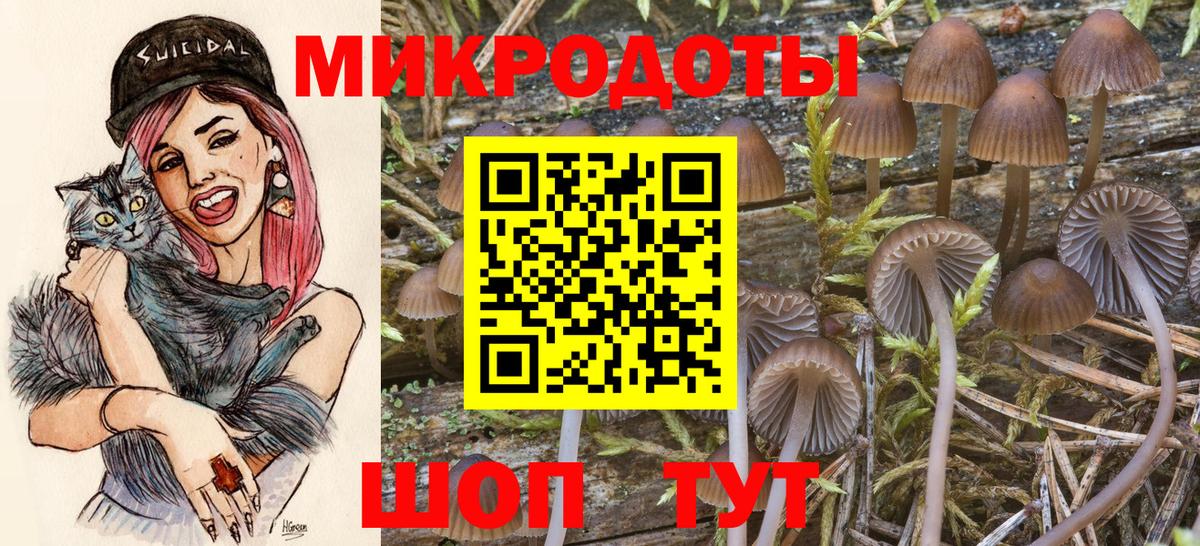 Галлюциногенные грибы прущие грибы Усть-Лабинск